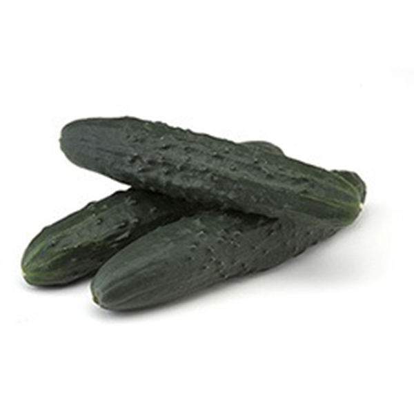 French cucumber