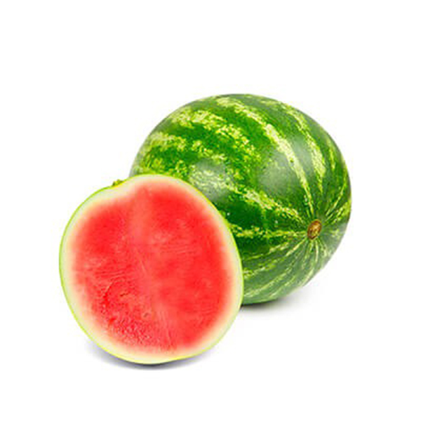 ECO mini watermelon
