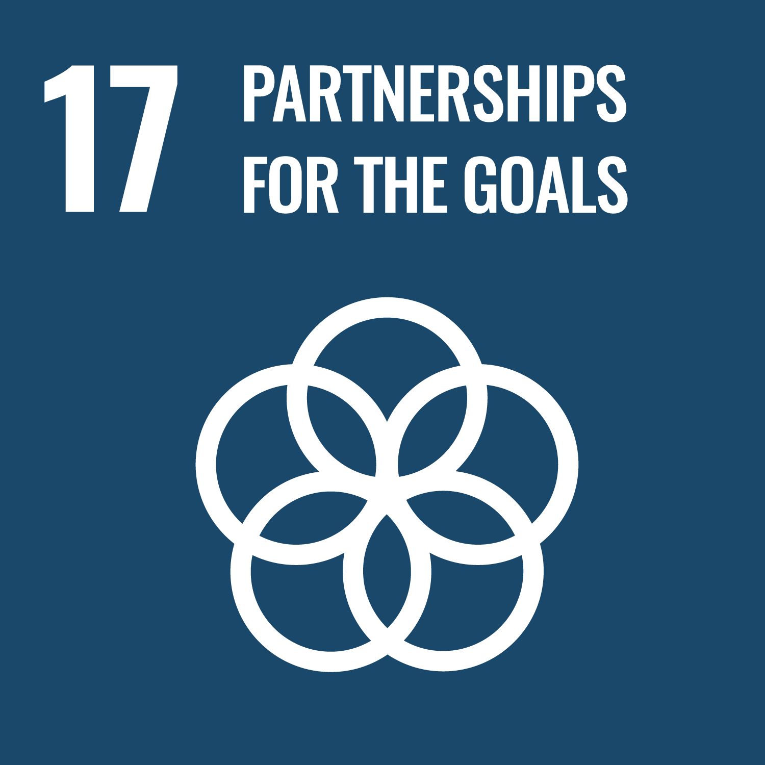 Revitalize the global partnership for sustainable development 